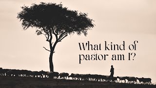 What Kind of Pastor Am I?