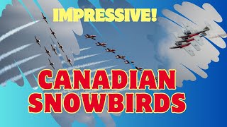 CANADIAN SNOWBIRDS.✈️ КАНАДСЬКІ СНІГОВІ ПТАХИ.