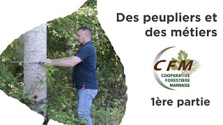 DPDM-Coopérative Forestière Marnaise Partie 1