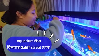 Fish Market | Galiff Street Fish Market Kolkata | Cheap Price | Recent Aquarium Fish Price Update