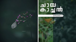 ചായ കാച്ചൽ || Episode 2 || Photo editing tutorial Malayalam