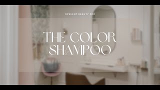 The Color Shampoo