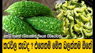 කරවිල වල කවුරුත් නොදන්න රහස | Benefits of Bitter Gourd, Bitter melon for diabetes | Karawila guna