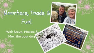 57 - Moorhens, Toads & fuel