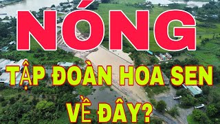 CHỔ NÀY CÓ SỐT KHÔNG? NẾU TẬP ĐOÀN HOA SEN VỀ ĐÂY! NHỮNG DẤU HIỆU CHO CHU KÌ MỚI #HOASEN