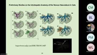 Anatomy 15/08