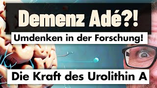 Sensation in der Demenzforschung! - TAU und Amyloid doch NICHT verantwortlich!