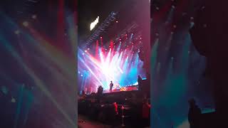 The Strokes - Razorblade (Lolla Argentina 2022)