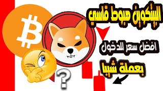 البيتكوين دامب قاسي وعملة شيبا انتظرها عند هذا السعر/ شاهد هذا الفديو جيدا