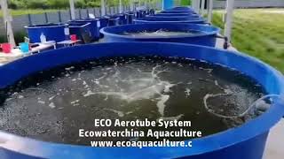 ECO aerotube plates performance