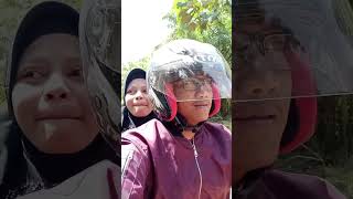 Daily Vlog part2//Cari pakan Kelinci di kebun sawit