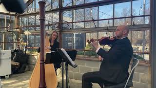 Once Upon a Time Storybook Love ~ Columbus Musicians, LLC harp and violin duo