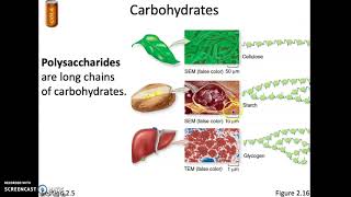 Bio11A Module 2 Part 8