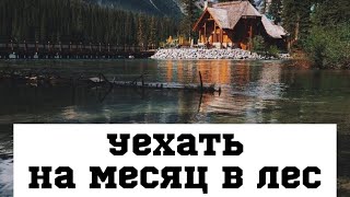 Есть ли польза от жизни на природе? #домвлесу