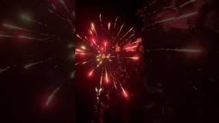 Dc 16 firework 16 shot plus 2 #shorts #fireworks #4thofjuly