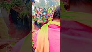 Chate Maiya ke karab ham pujanava #dance #music #bhojpuri #shorts