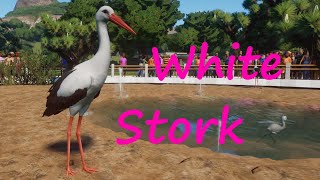 White Stork by GingerToast and Thomas - Planet Zoo Mod