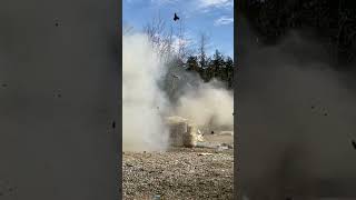 Tannerite in wood     #shorts