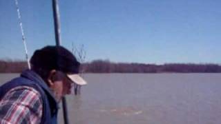 39 pound blue Lake Lavon 030910.flv