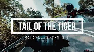 Tail of the Tiger | Canyon Run | Aprilia Tuono V4 Factory Sound [RAW Onboard]