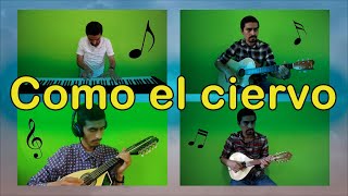 Como el ciervo | As the Deer #mandolin #guitar #piano #Hymn #cover