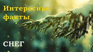 Интересные факты о снеге и снежинках | Вы этого не знали. Краткие невероятные факты о природе