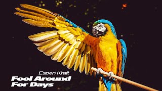 Fool Around For Days | Espen Kraft Music