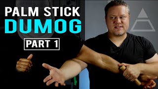 Palm Stick Dumog Part 1 | Sean Elders