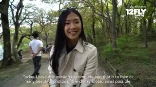 12FLY TV - Rain at Jinhae NFRDI Environment Park