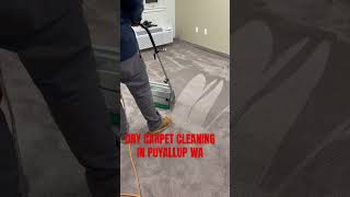 Dry Carpet Cleaning in Puyallup WA. #shorts #carpetcleaningnearme #puyallupcarpetcleaners #happy