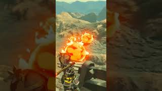 Fighting fire with fire... #shorts #botw #botwshorts #nintendo #zelda #gaming #nintendoswitch