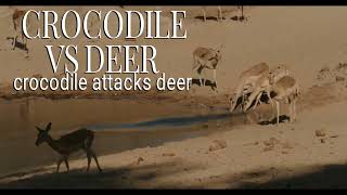 crocodile vs deer#wildlife #deer