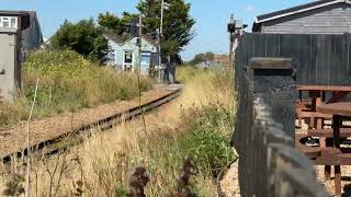 Samson  passing The Pilot Dungeness 9.8.24 @RomneyHytheDymchurchRailway