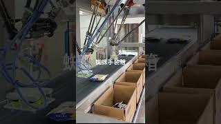 Automatic Top Loading Case Packing Solution by Delta Robot(Spider Robot) in Food Industry.