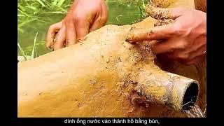 kỹ năng nguyên thủy tâp 5