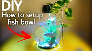 How to Setup Fish bowl (beautiful setup)