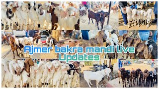 27JANUARY AJMER BAKRA MANDI LIVE UPDATES GOAT MARKET COVER WITH PRICE/RAJASTHAN BIGGEST MANDI #2024