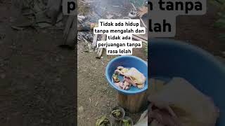 Tak ada hidup tanpa masalah #jalaninikmatisyukuri #iklaskubahagiamu #viralshort