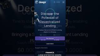 Deepr Finance in 60 Seconds #shimmerbridge #shimmerevm