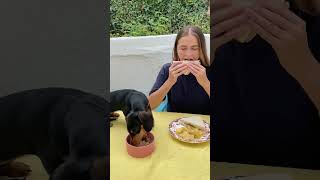 The Ultimate Test: Dog Picks Dinner on Command!