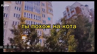 Ты похож на кота - Жанулька (Cover + aesthetic video)