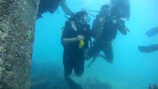 Scuba Diving At Govind Nagar Beach, Swaraj Dweep (Havelock Island), Andaman Nicobar