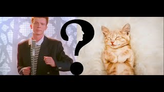 Is it a cute cat or a rickroll? test your luck.