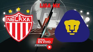 🔴🔥⚽NECAXA vs PUMAS se enfrentan en un emocionante duelo de la Liga mx fecha 7