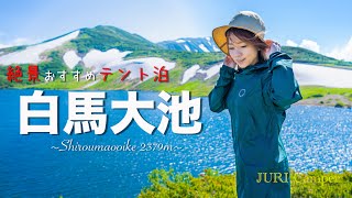 【夫婦で登山】白馬大池から船越ノ頭。登れば登るほど絶景が待っている！！