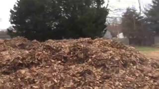 Conclusion Leaf Compost Part 2 12/24/17