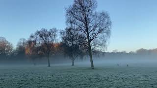 Misty morning walking at Birkenhead Park with Stella