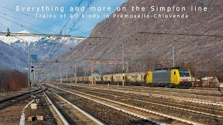 Everything and more on the Simplon line - Trains of all kinds in Premosello-Chiovenda