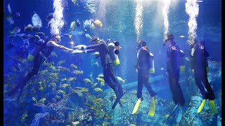 鳥羽水族館　令和２年度　水中入社式