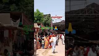 बुटाटी धाम #butatidham #viral #trending #viralvideo